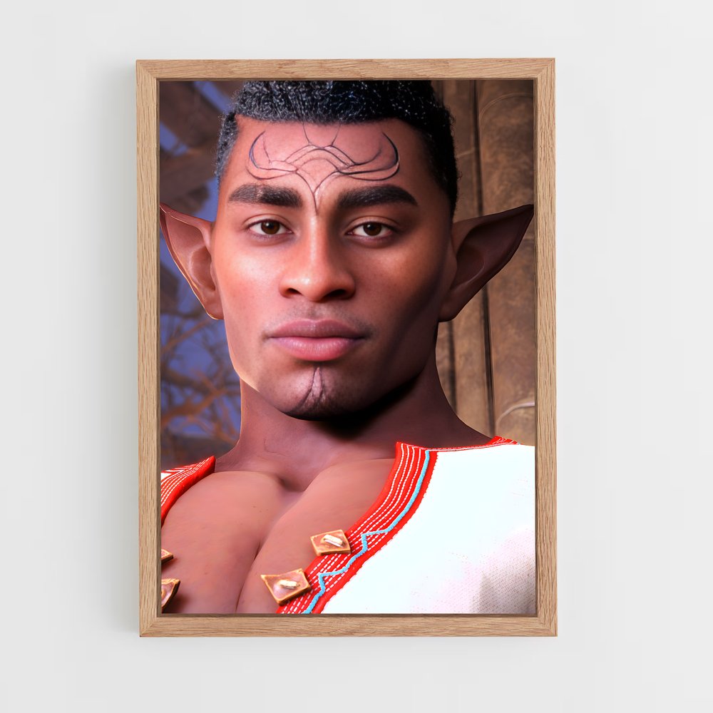 Poster Warden des Ombres – affiche Dragon age (vue 4)